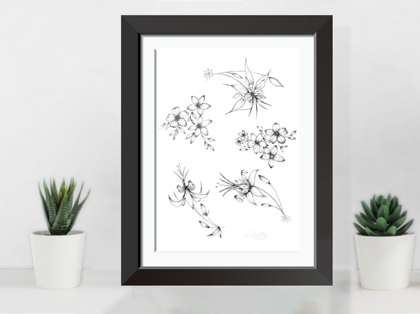 Cacao Flower Illustration Print