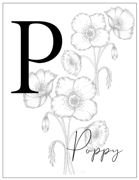 P for Poppy Card